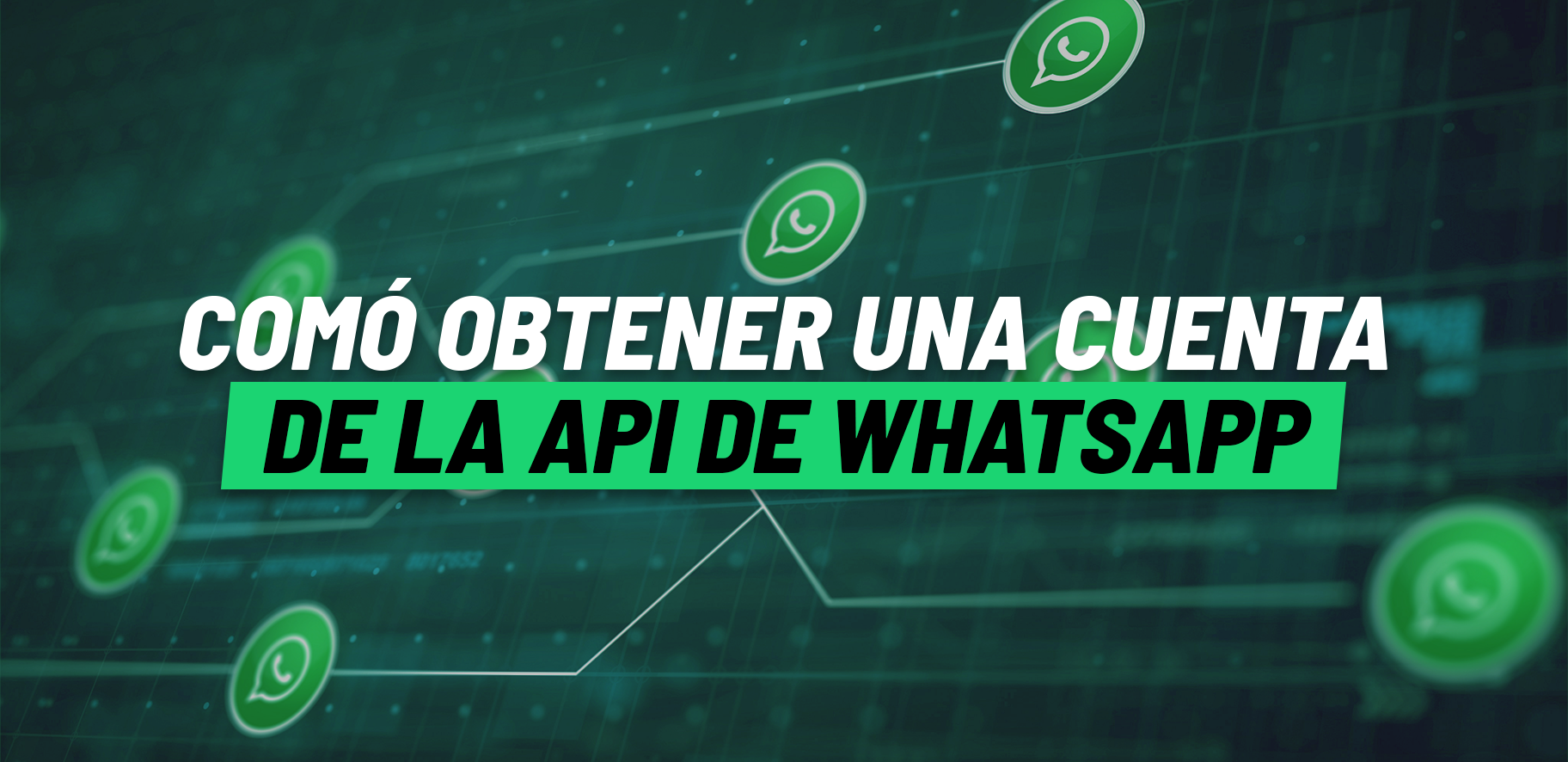 Cómo obtener una cuenta de la API de WhatsApp